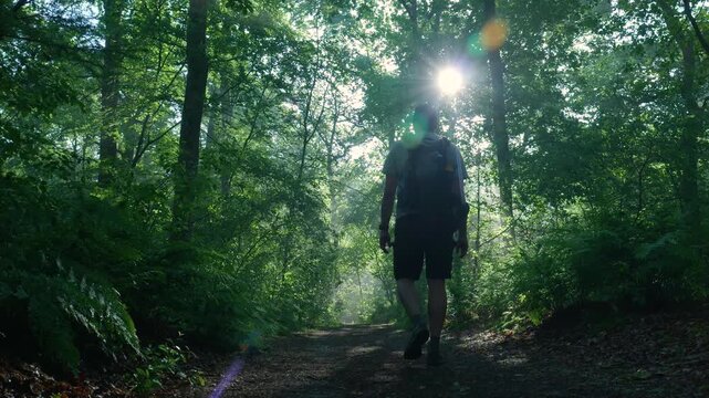 Man walking alone on a path in a beautiful green forest toward the sun