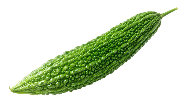 Bitter Melon Isolated Scientific Concept Visual