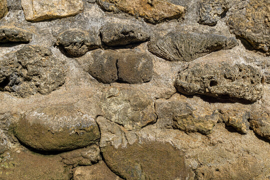 Vintage rustic stacked marine stone wall texture pattern for exterior masonry
