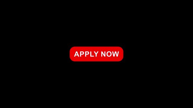 Apply now button animation with red color. Apply now button digital interface text. 4k quality animation video.