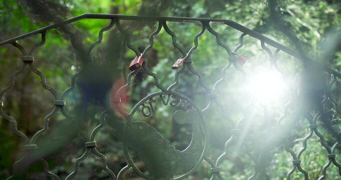 Ornate wrought iron fence with red flowers in sunny forest