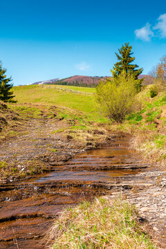 rural scenery in carpathian mountains of ukraine. simple view of a countryside mountain landscape during sunny forenoon in springtime. brook near the grassy hills. peaceful vacation in highland