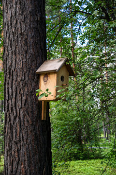 Handmade wooden birdhouse mounted on a tree trunk in a green summer forest