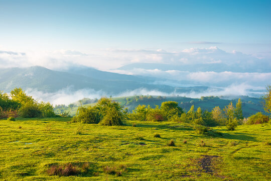 carpathian mountain landscape on a foggy morning. outdoor adventure image for stunning view of meadow in morning light. mountain field and rolling countryside valley