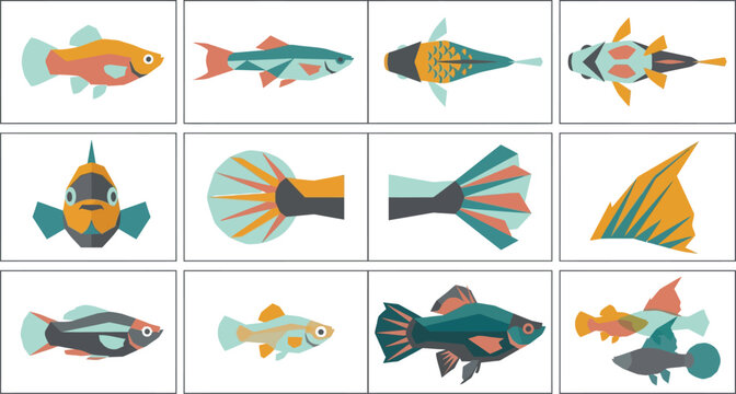 Detailed flat vector set of aquarium fish showing various fin shapes and body patterns in a grid layout style