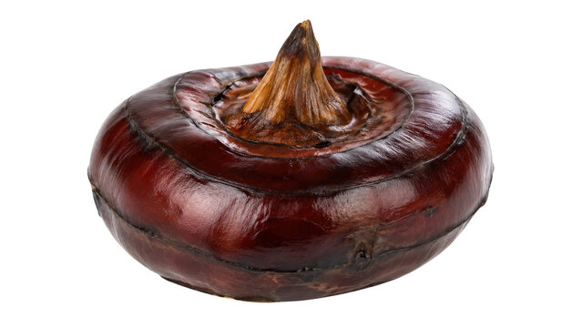 Water Chestnut Isolated on Food Still Life