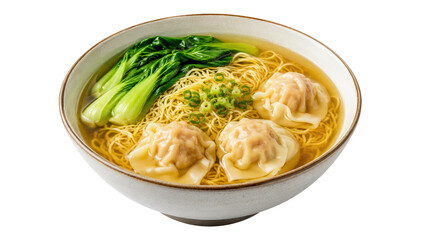Wonton Noodle Soup with Bok Choy in a Bowl Isolated