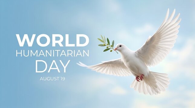 White dove flying with olive branch for world humanitarian day