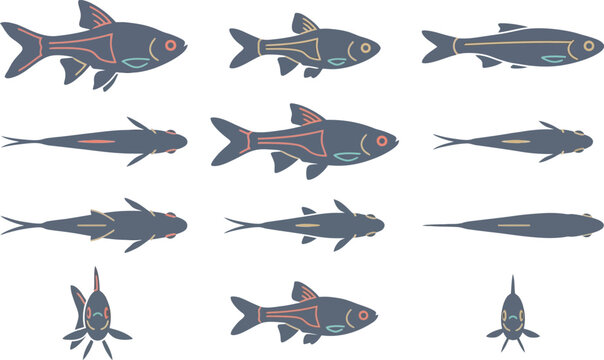 Stylized harlequin rasbora fish vector icon set featuring multiple angles and swimming positions for web design