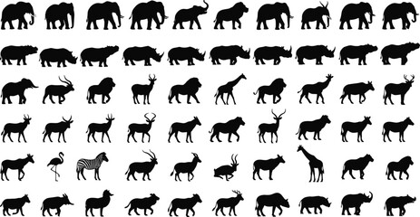 African wildlife animal silhouette collection featuring elephants, lions, giraffes, zebras, antelopes, and safari creatures © Mr Ashik02