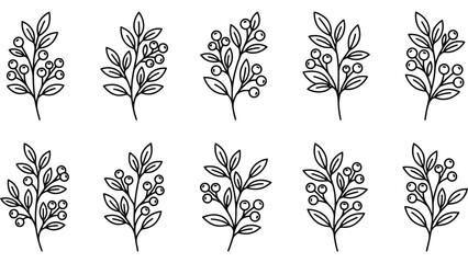 Autumn berry branch icons. Minimalist botanical line art set for seasonal design projects. © Mahraz