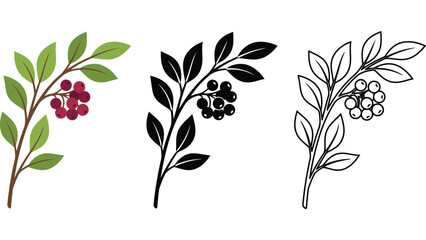 Autumn berry branch icons. Set of seasonal botanical illustrations in various styles. © @ahmedmaynul