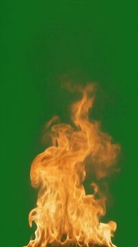 Realistic fire flame burning on green screen. Isolated blaze flickering for video compositing.