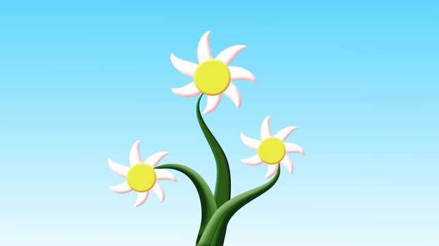 Minimal botanical plant growing and flower blooming loop for dynamic overlays, creative white petals blossom motion graphic asset, Flowers growing stylized floral element on light blue background.4k