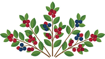 Blueberry and cranberry branches. Fresh forest berry sprigs with green leaves. © @ahmedmaynul