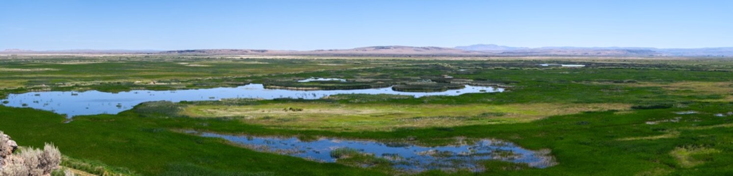 Panorama of the marshes of the Blitzen River Valley at the Malheur National Wildlife Refuge, Oregon, USA