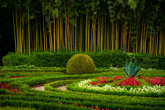 Lush botanical park garden with green topiary hedge, vibrant blooming flowers and bamboo grove background in Opatija, Croatia