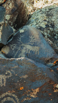 Ancient Rock Petroglyph Carving of Horned Animal on Weathered Stone Surface