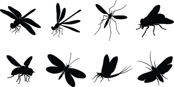 Collection of insect and flying pest silhouettes featuring dragonflies, mosquitoes, and various winged creatures