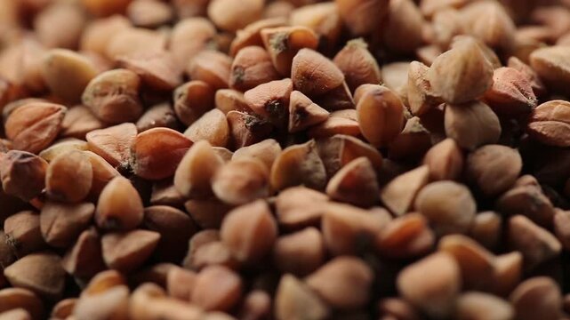 Macro view of buckwheat grains, buckwheat rotating, healthy food