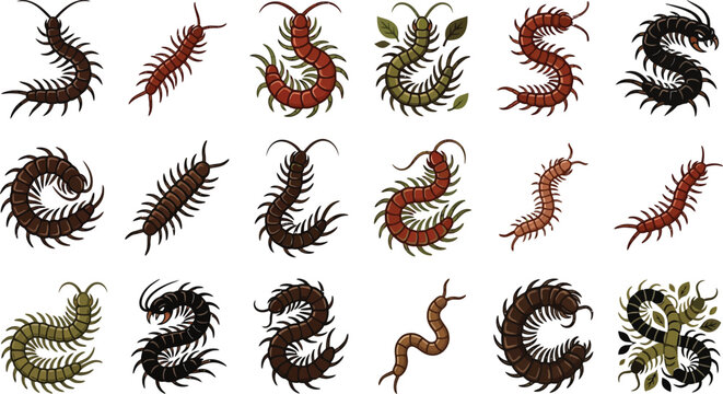 Flat Vector Scolopendra and Creepy Crawly Multi-Legged Bug Collection