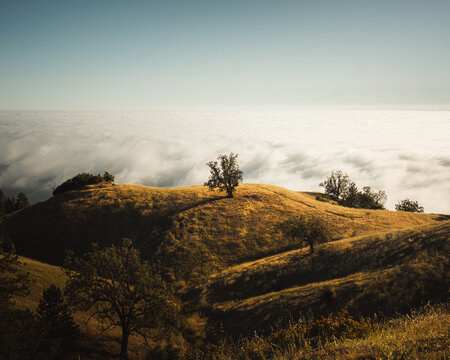 Rolling golden hills overlooking a vast sea of clouds during sunrise in Big Sur, California