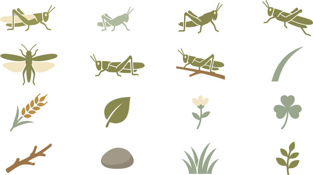 Vector Grasshopper Insect and Garden Meadow Elements Icon Set