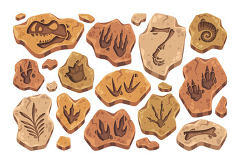 Obraz premium Dinosaur Fossil Footprints Collection Cartoon