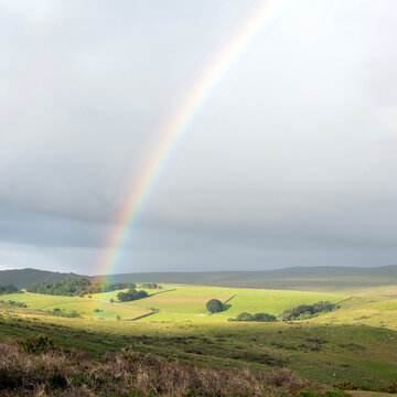 beautiful landscape of dartmoor hills in warm evening light with rainbow