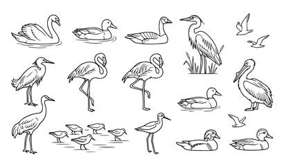 Obraz premium Hand Drawn Water Bird Collection Including Swan Flamingo Pelican Duck and Heron Outline Illustrations