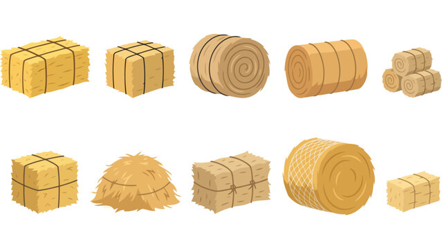 Set of dry hay bales and straw stacks. Farm harvest collection of round and square hay.