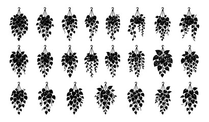 Tropical Philodendron Hanging Plant Bundle Black Silhouette Vector EPS 10Tropical Philodendron Hanging Plant Bundle Black Silhouette Vector EPS 10 © Bipul