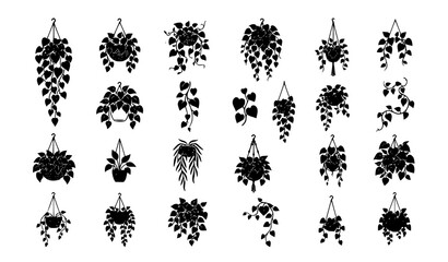 Heart Shaped Philodendron Hanging Plant Silhouette Vector Set Isolated on White Background EPS 10 © Bipul