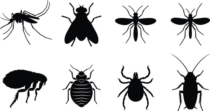 Collection of household pest silhouettes including mosquitoes, flies, bed bugs, ticks, and cockroaches for pest control