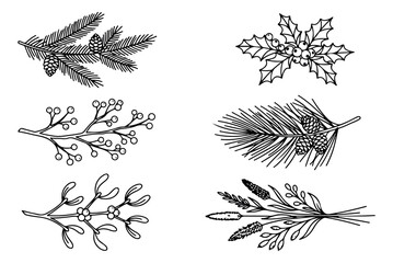 Vintage Christmas botanical sketches, hand drawn winter foliage set of 6 vector elements, rustic pine branches and holly berry line art icons © Rehman