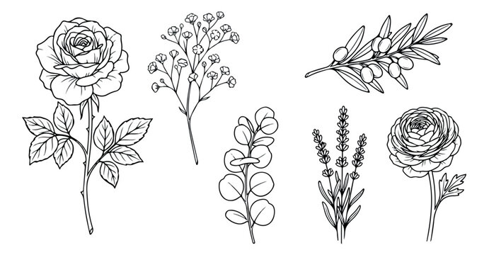 Vintage botanical line art collection, hand drawn floral sketches of rose lavender and eucalyptus, 6 elegant black ink garden flower vector elements