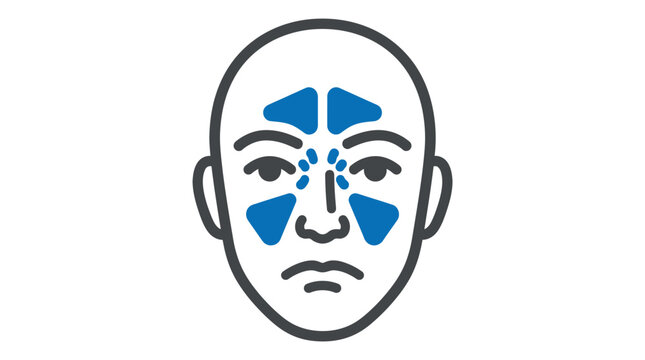 Minimalist vector illustration showing human facial sinus cavities in a clean and professional medical style