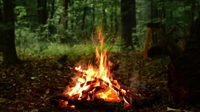 Seamlessly looping campfire in wild evening forest, camping axe stuck in dark tree stump. Relaxation video asset with native audio of popping fire embers and cheerful forest birds singing.