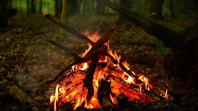 Seamless loop of campfire burning in teepee shape inside twilight forest. Cozy bonfire flames and hot glowing embers with real crackling fire sounds and peaceful birds singing. 