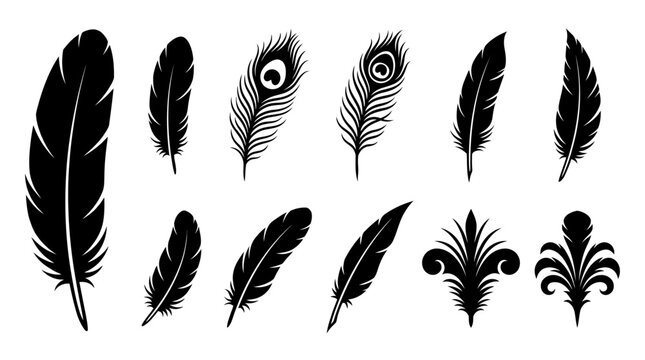 Comprehensive collection of elegant black feather silhouettes and quill icons featuring diverse bird plume shapes and detailed wing fringe symbols for creative graphic design and illustration.
