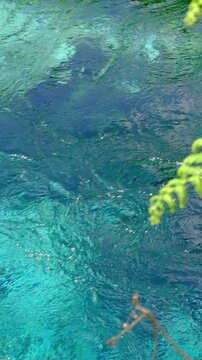 blue eye, syri i kater, Albania. Emerald green spring, close to Gjirokaster or Saranda. High quality FullHD footage