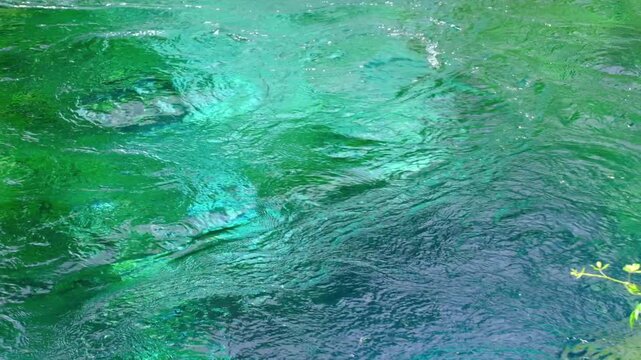blue eye, syri i kater, Albania. Emerald green spring, close to Gjirokaster or Saranda. High quality FullHD footage
