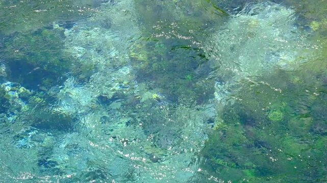 blue eye, syri i kater, Albania. Emerald green spring, close to Gjirokaster or Saranda. High quality FullHD footage