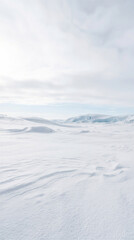 Fototapeta premium Snowy Glacial Plain Under Luminous Winter Sky