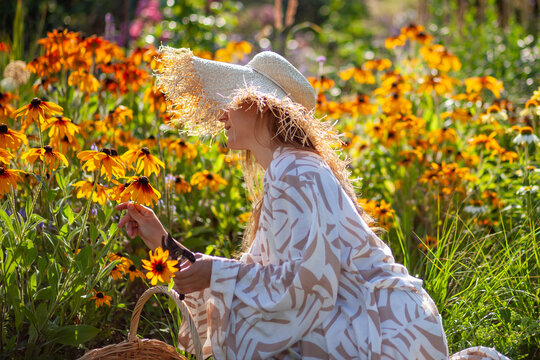 Woman picking rudbeckia flowers using handwoven gathering basket and pruner in summer garden. Stylish gardener wearing straw hat