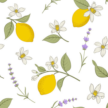 Seamless citrus pattern with lemons and lavender.