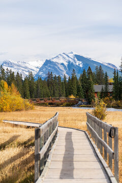 Spring Creek, Policeman Creek Boardwalk Trail in fall season. Town of Canmore, Alberta, Canada.