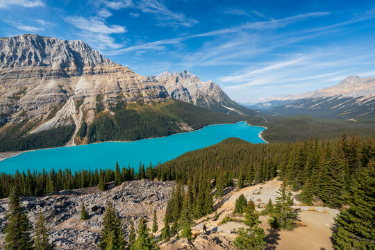 Peyto Lake in summer time. Banff National Park, Canadian Rockies, Alberta, Canada.