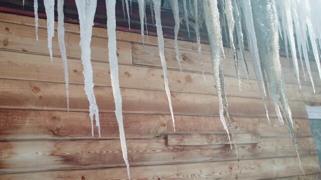 Long icicles hanging from roof eaves above weathered wooden siding, viewed from low angle with soft daylight, frosted texture, clear tips, winter chill, natural exterior scene