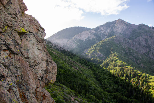 Scenic View of Forested Taylor Canyon and Wasatch Mountain Ridgelines from the Hidden Valley Loop Trail Above Ogden Utah on a Clear Summer Morning
